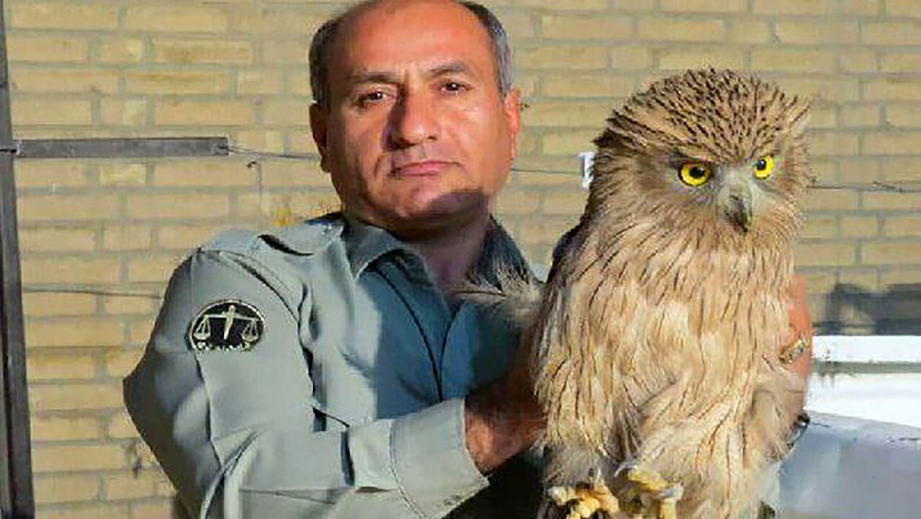 هدایت_الله+دیده_بان