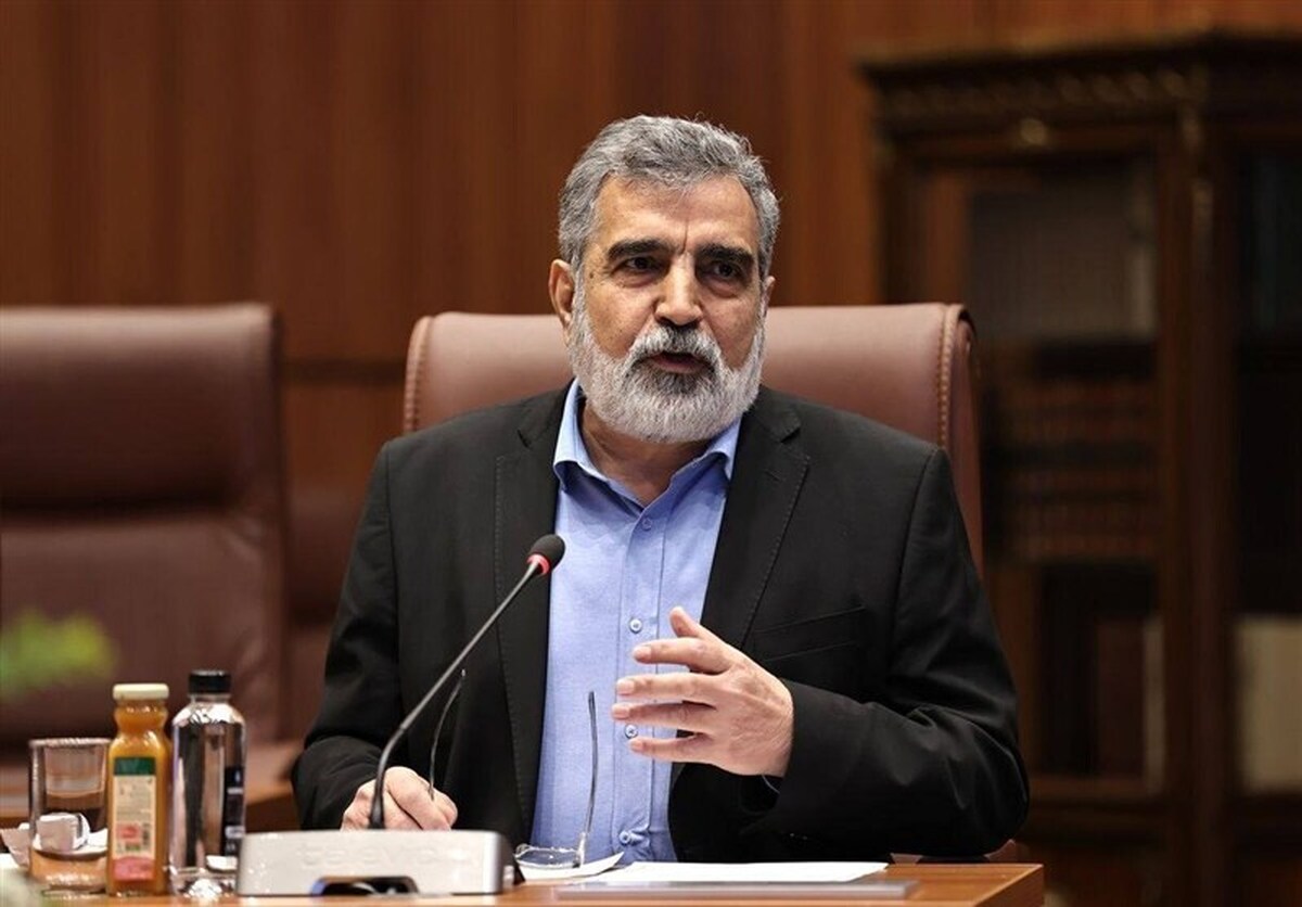 کمالوندی:  ماجرای تورقوزآباد و ورامین خرابکاری بود/ اکنون 120 بازرس برای نظارت بر برنامه هسته‌ای ایران حضور دارند