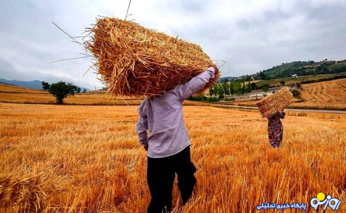 خبر مهم درباره پرداخت مطالبات گندمکاران خبر مهم درباره پرداخت مطالبات گندمکاران
