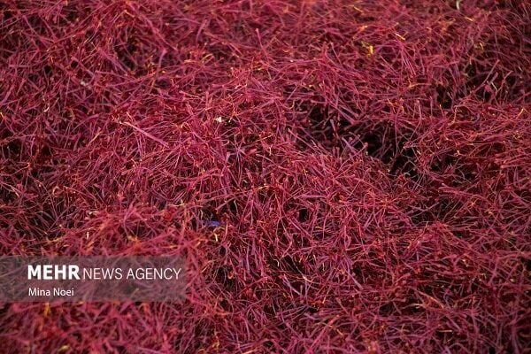 photo_2025-09-26_01-15-38