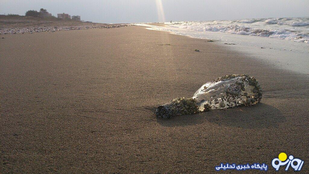 خزر هم به عاقبت دریاچه ارومیه دچار خواهد شد!