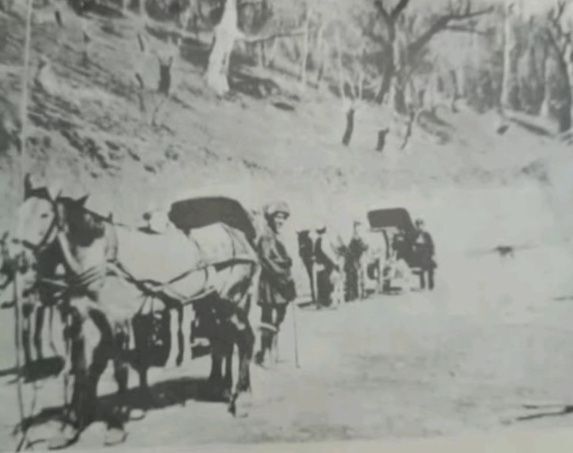 جادهای در اطراف رودبار گیلان جادهای در اطراف رودبار گیلان