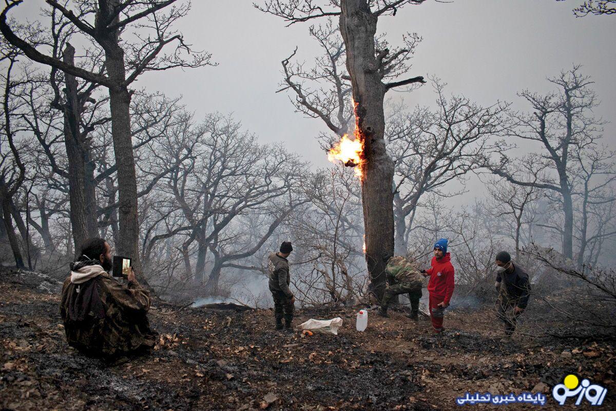 الیت سوخت و خاکستر شد!