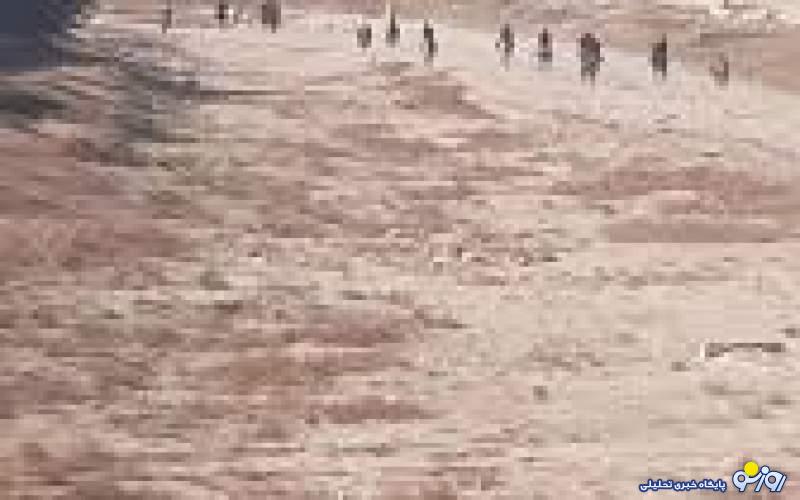 بعد از اینکه زاینده رود خشک شد اسب‌ها بر تن خسته‌اش تافتند!