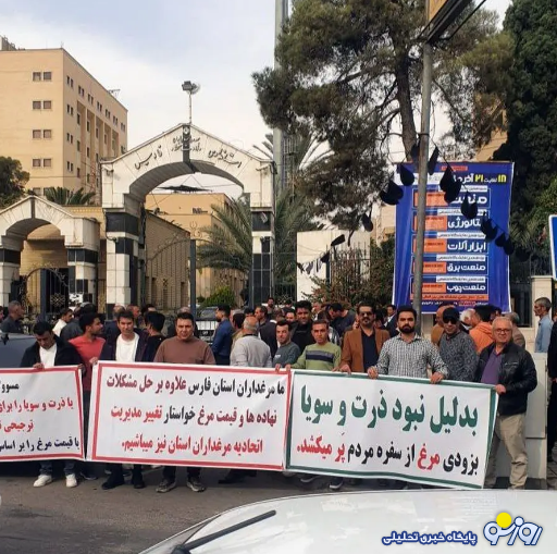 دلیل تجمع مرغداران استان فارس چه بود؟