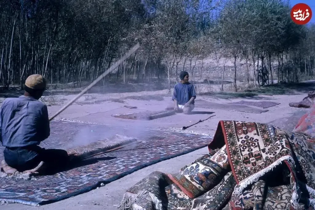 تکاندن+قالی